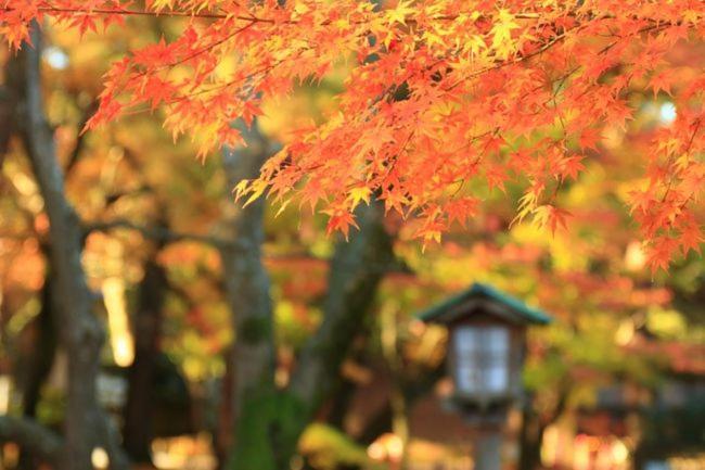 Kanazawa Guest House Nana Kültér fotó